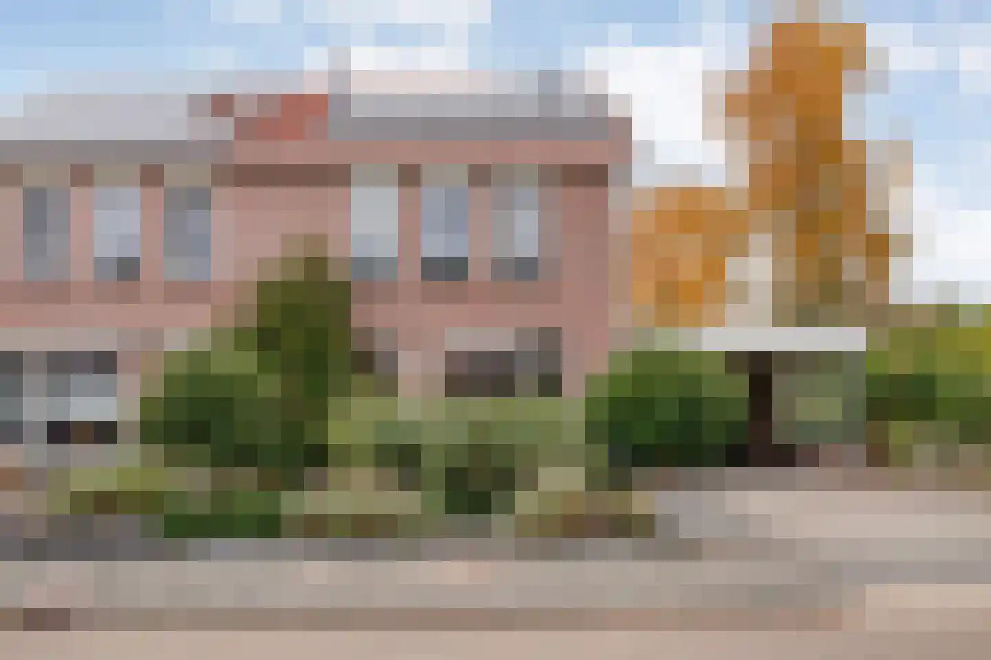 Boterbloem 23 Hardenberg thumbnail 7