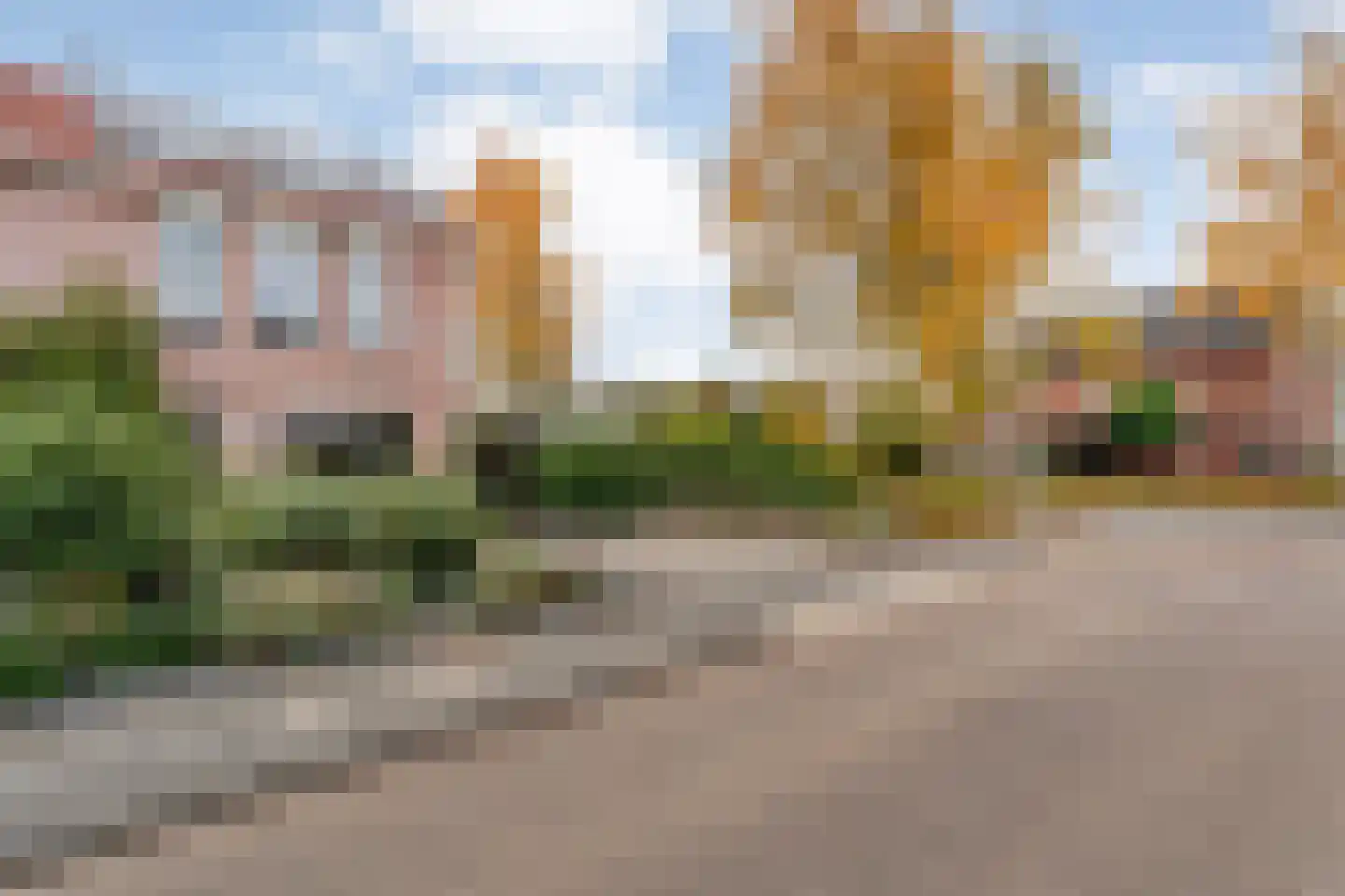 Boterbloem 23 Hardenberg thumbnail 9