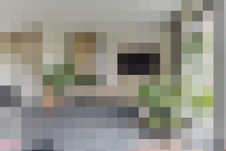 Boterbloem 23 't Veld thumbnail 11