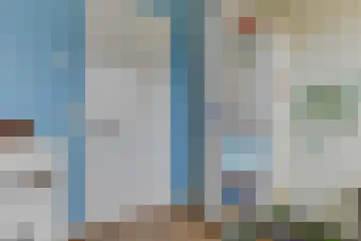 Boterbloem 23 't Veld thumbnail 31