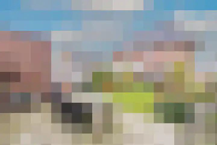 Boterbloem 23 't Veld thumbnail 36