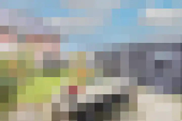 Boterbloem 23 't Veld thumbnail 37