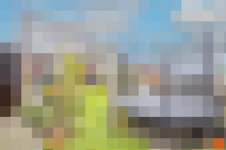 Boterbloem 23 't Veld thumbnail 41