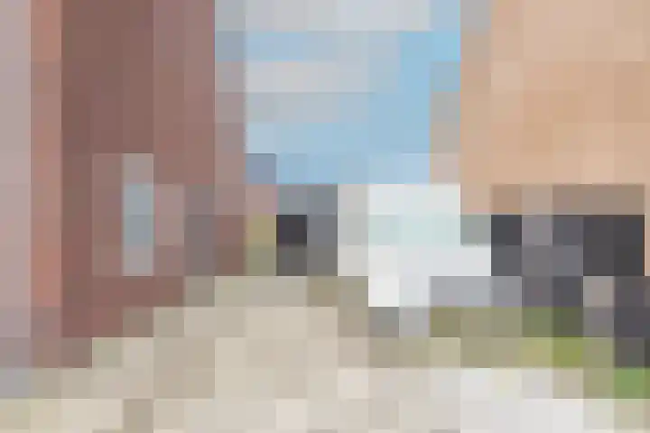 Boterbloem 23 't Veld thumbnail 43