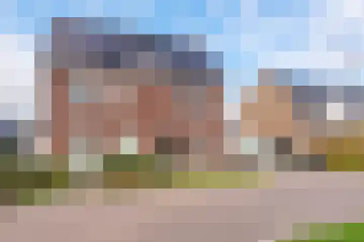 Boterbloem 23 't Veld thumbnail 45
