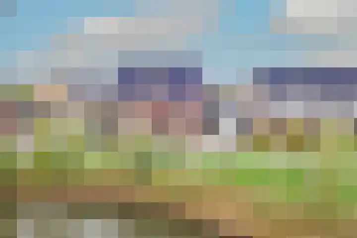 Boterbloem 23 't Veld thumbnail 46
