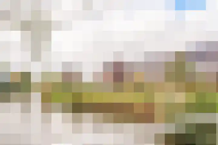 Boterbloem 23 't Veld thumbnail 47