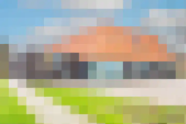 Boterbloem 23 't Veld thumbnail 49