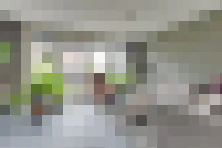 Boterbloem 23 't Veld thumbnail 9