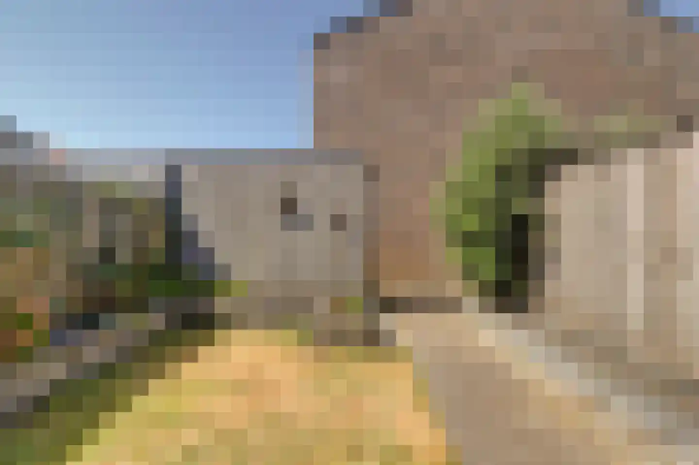 Boterbloem 24 Bodegraven thumbnail 20