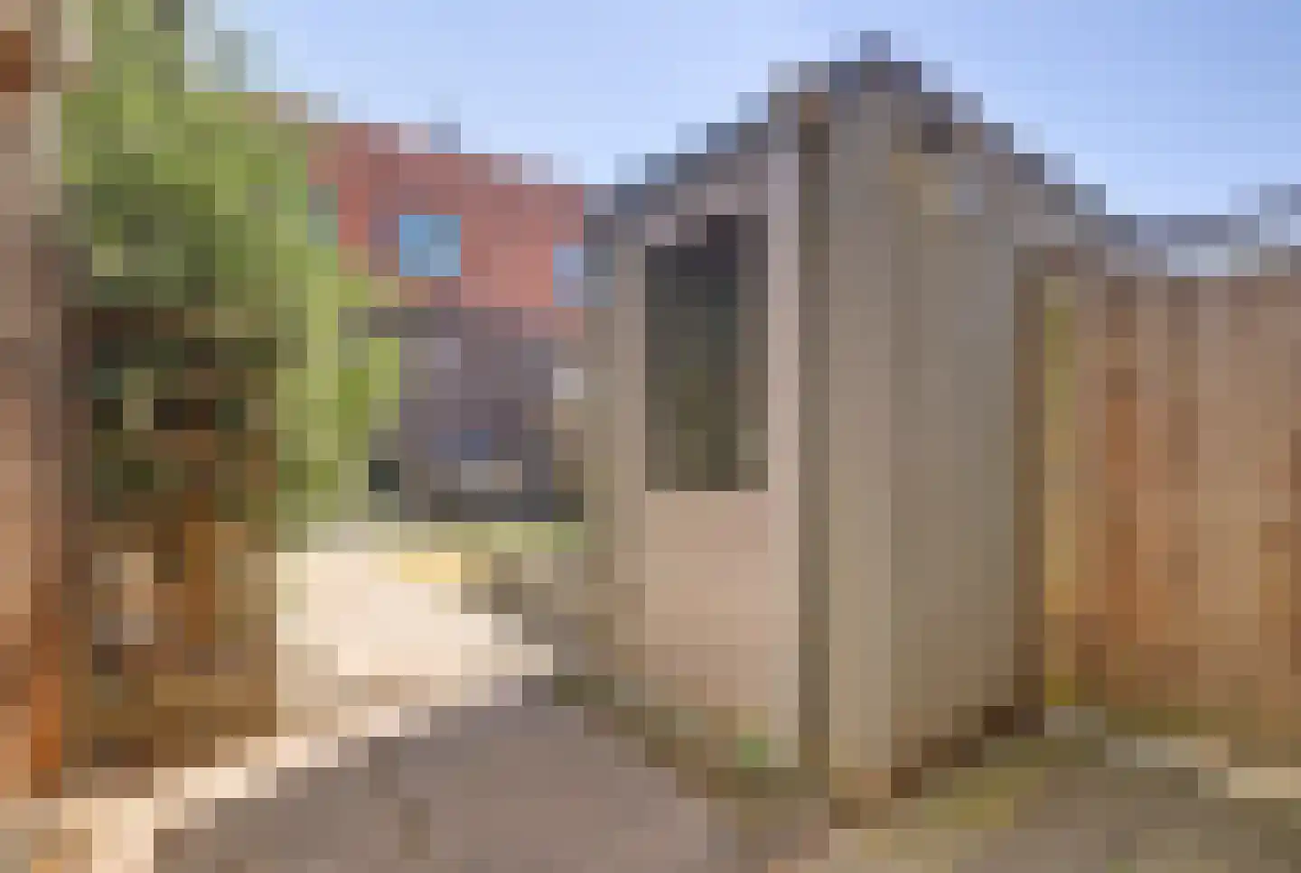 Boterbloem 24 Bodegraven thumbnail 22