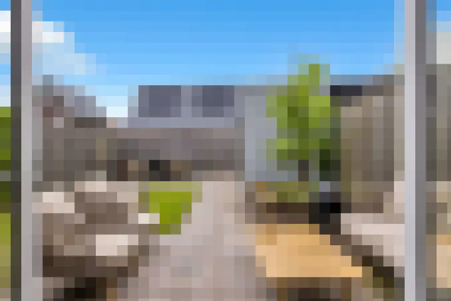 Boterbloem 24 't Veld thumbnail 27