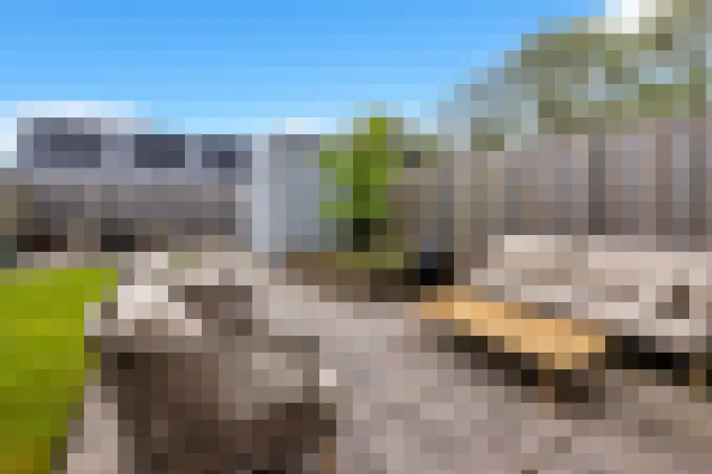 Boterbloem 24 't Veld thumbnail 28