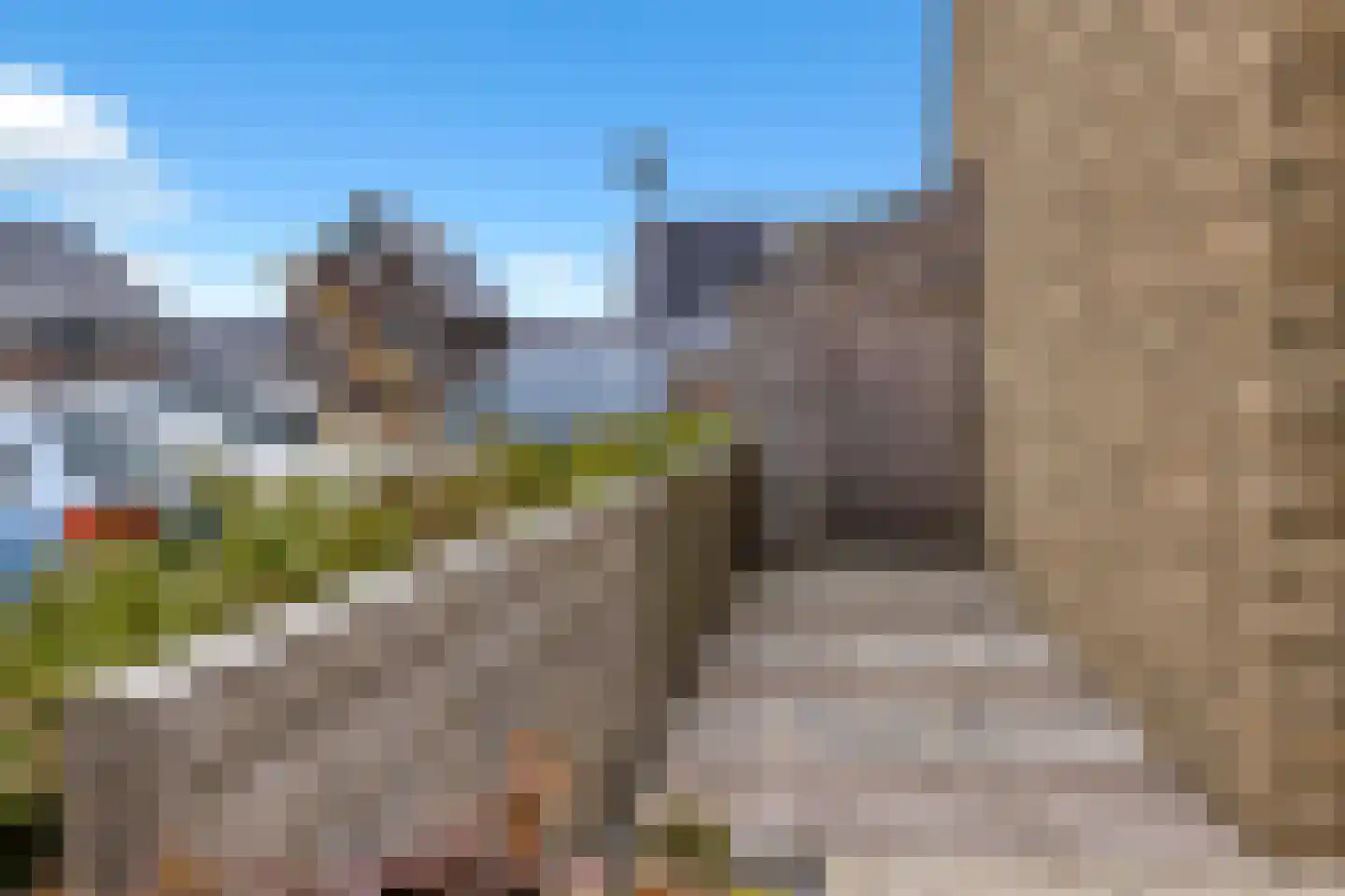 Boterbloem 24 't Veld thumbnail 32