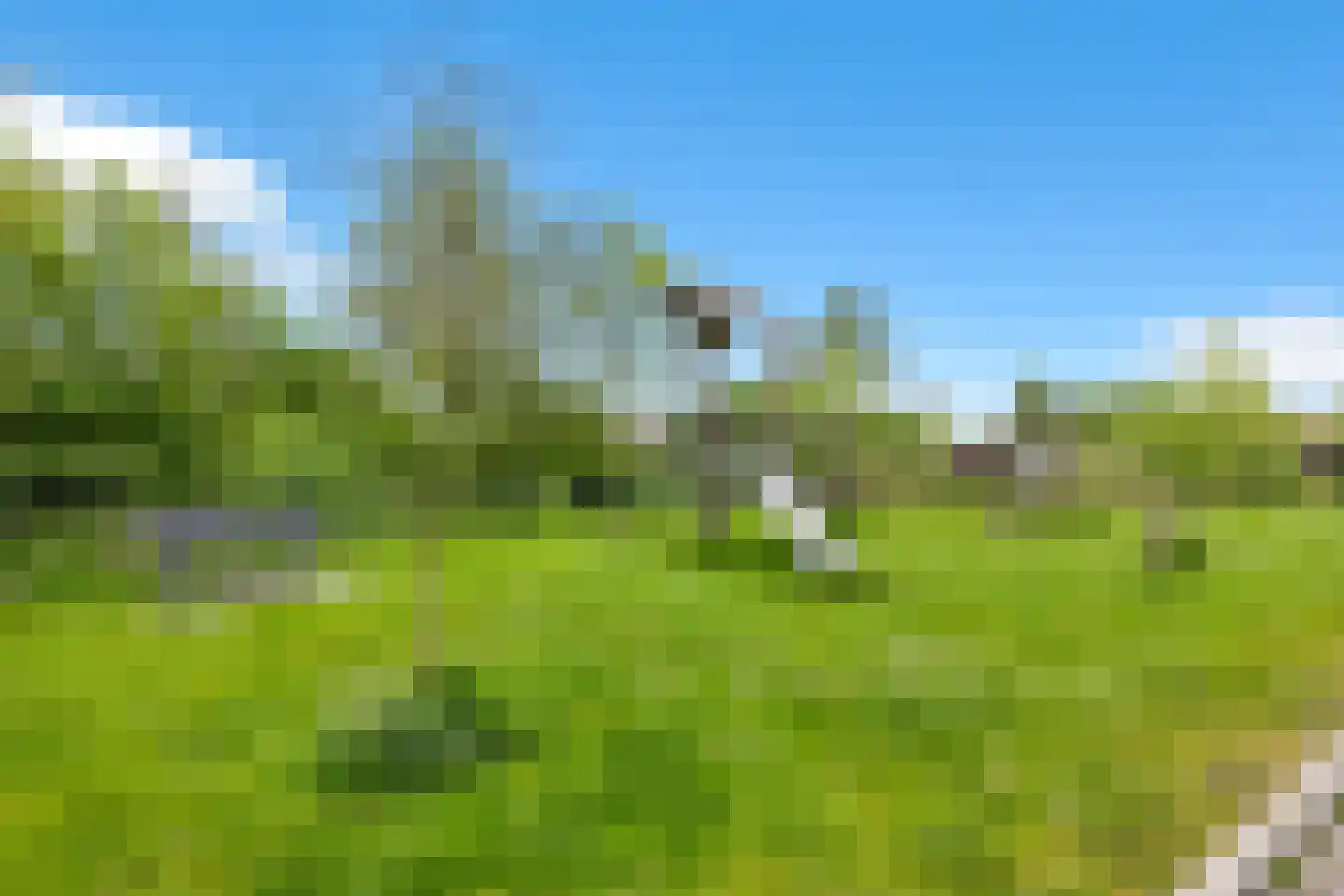 Boterbloem 24 't Veld thumbnail 33