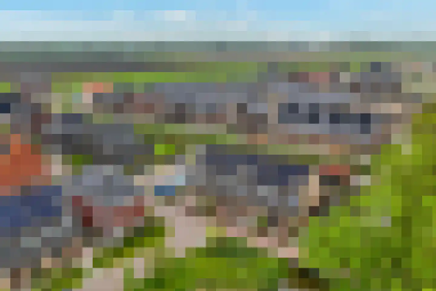 Boterbloem 24 't Veld thumbnail 34