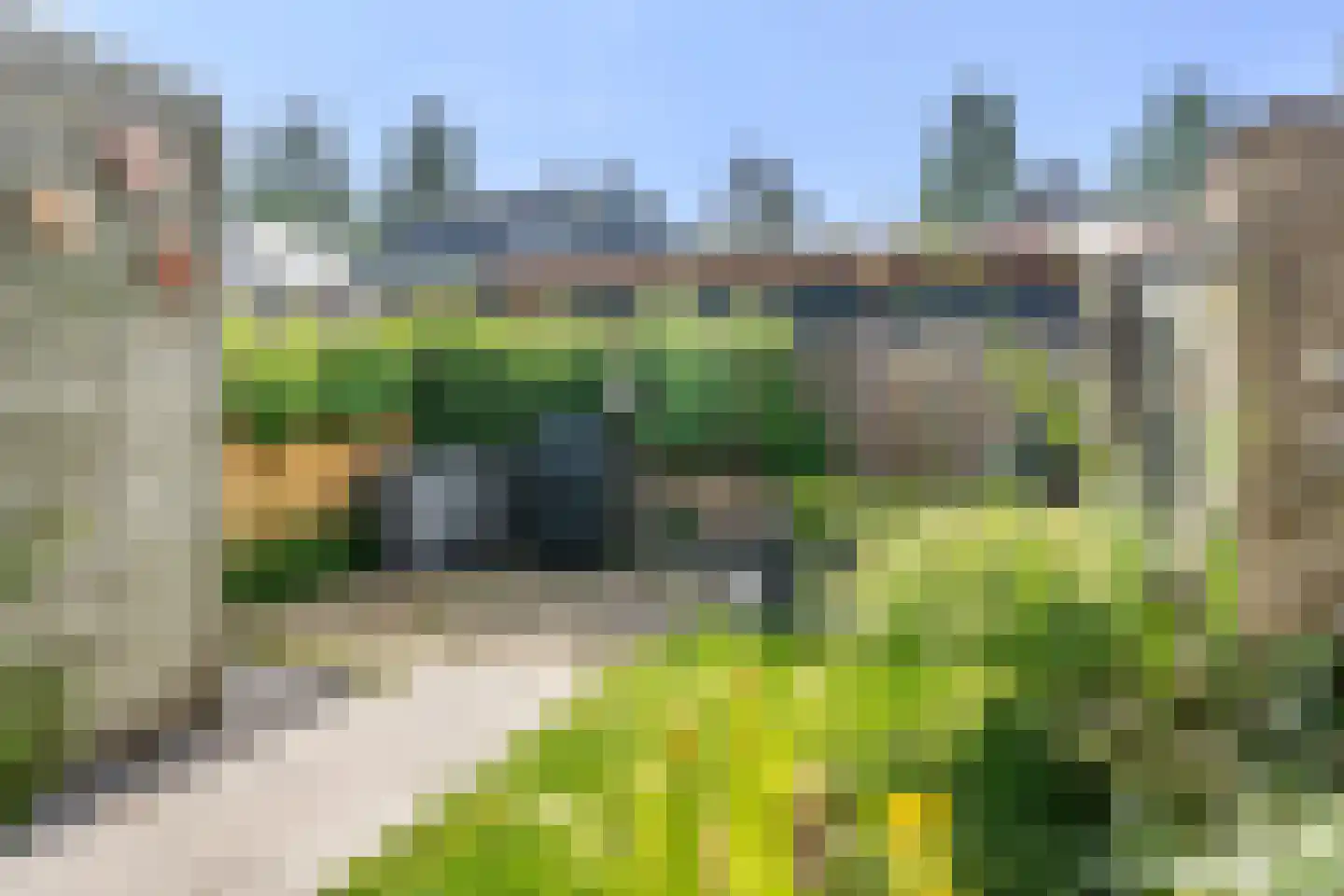 Boterbloem 25 Bennekom thumbnail 20