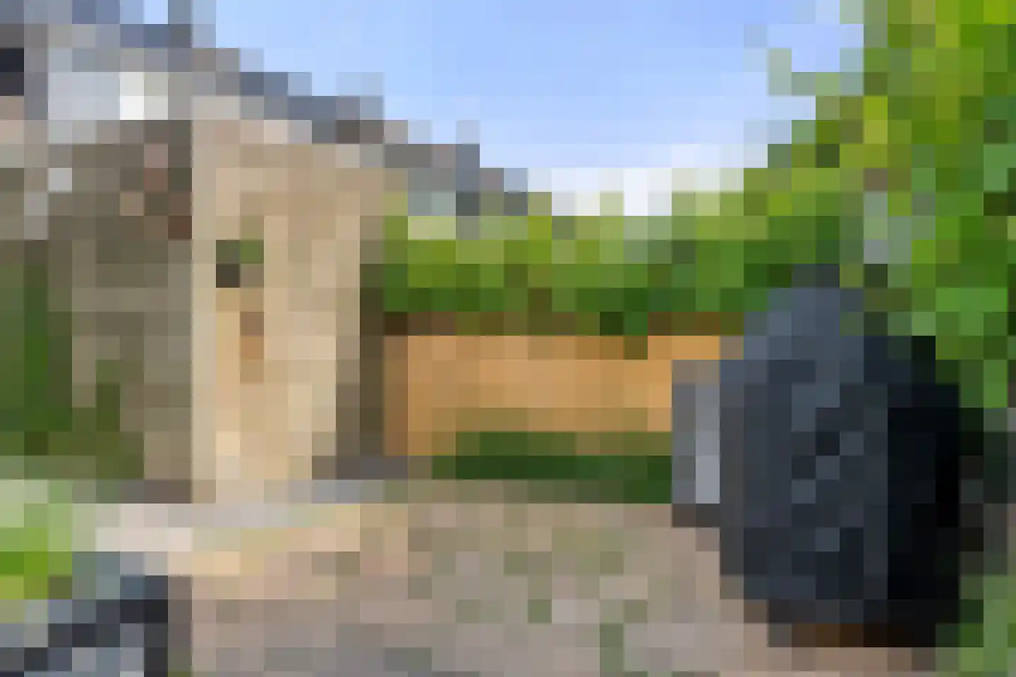 Boterbloem 25 Bennekom thumbnail 21
