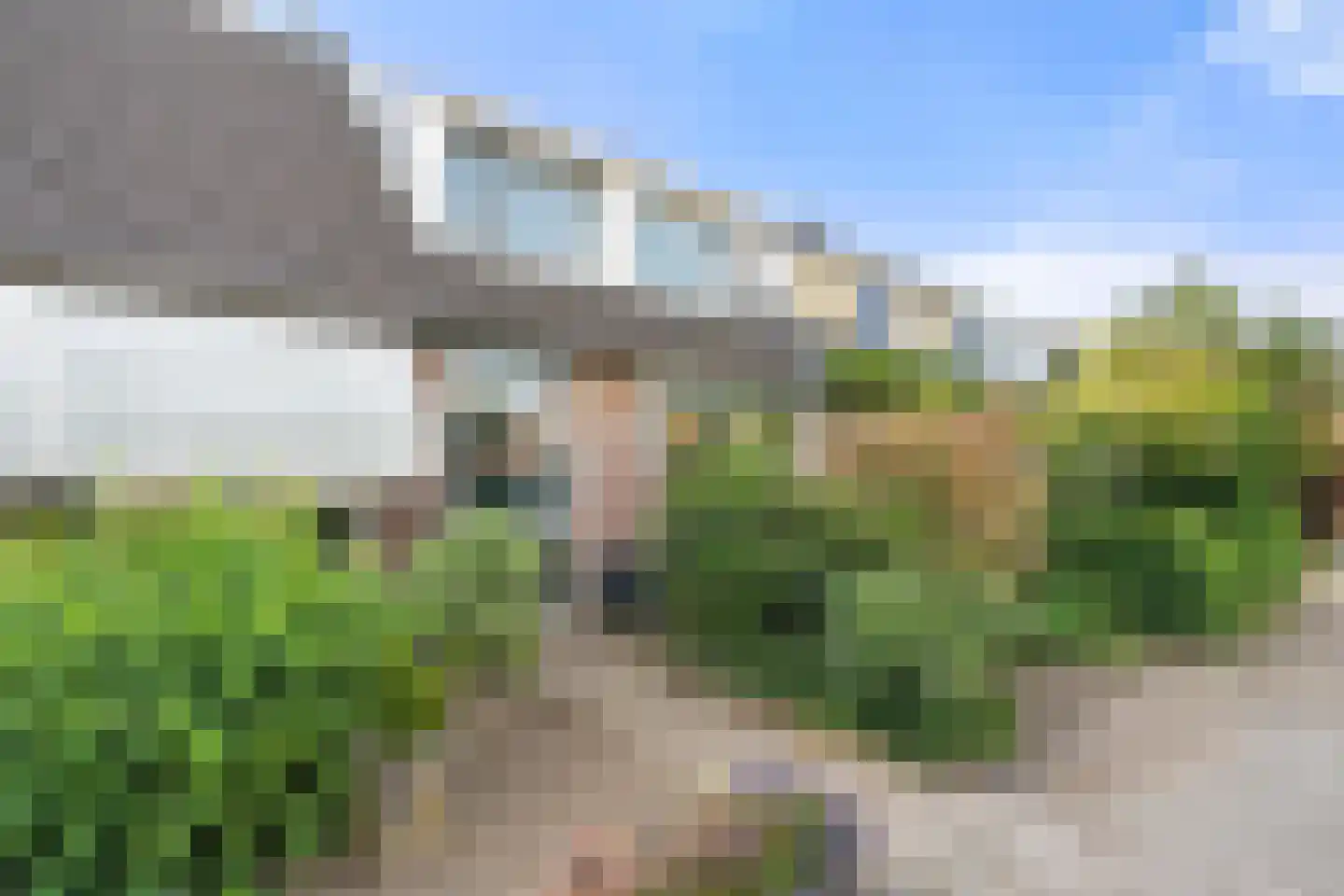 Boterbloem 25 Bennekom thumbnail 4