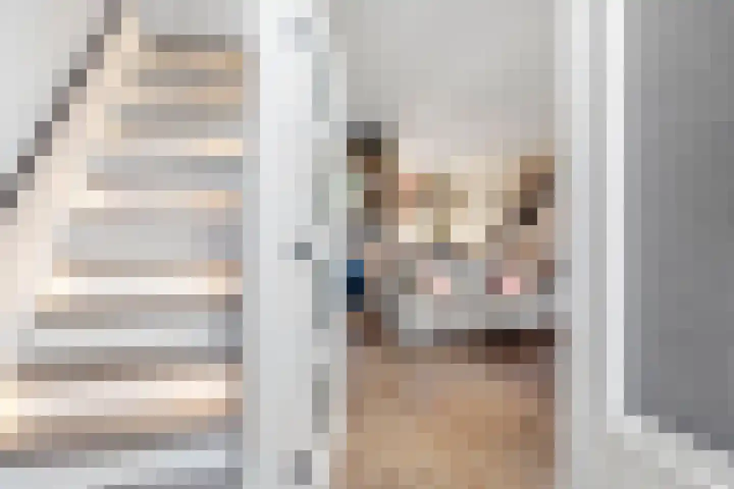 Boterbloem 25 Bennekom thumbnail 6