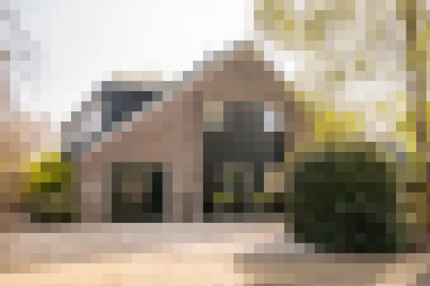 Boterbloem 25 Nijkerk