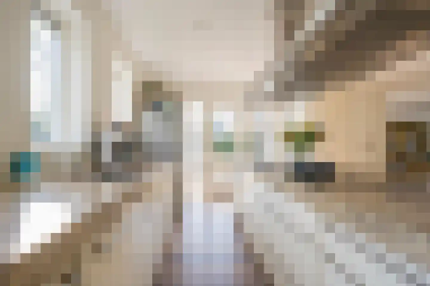 Boterbloem 25 Nijkerk thumbnail 15
