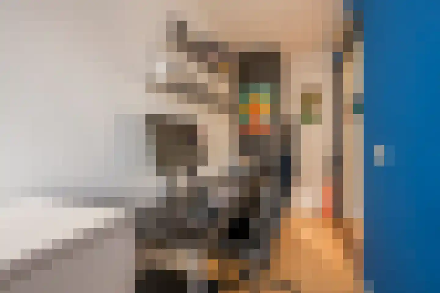 Boterbloem 25 Nijkerk thumbnail 30