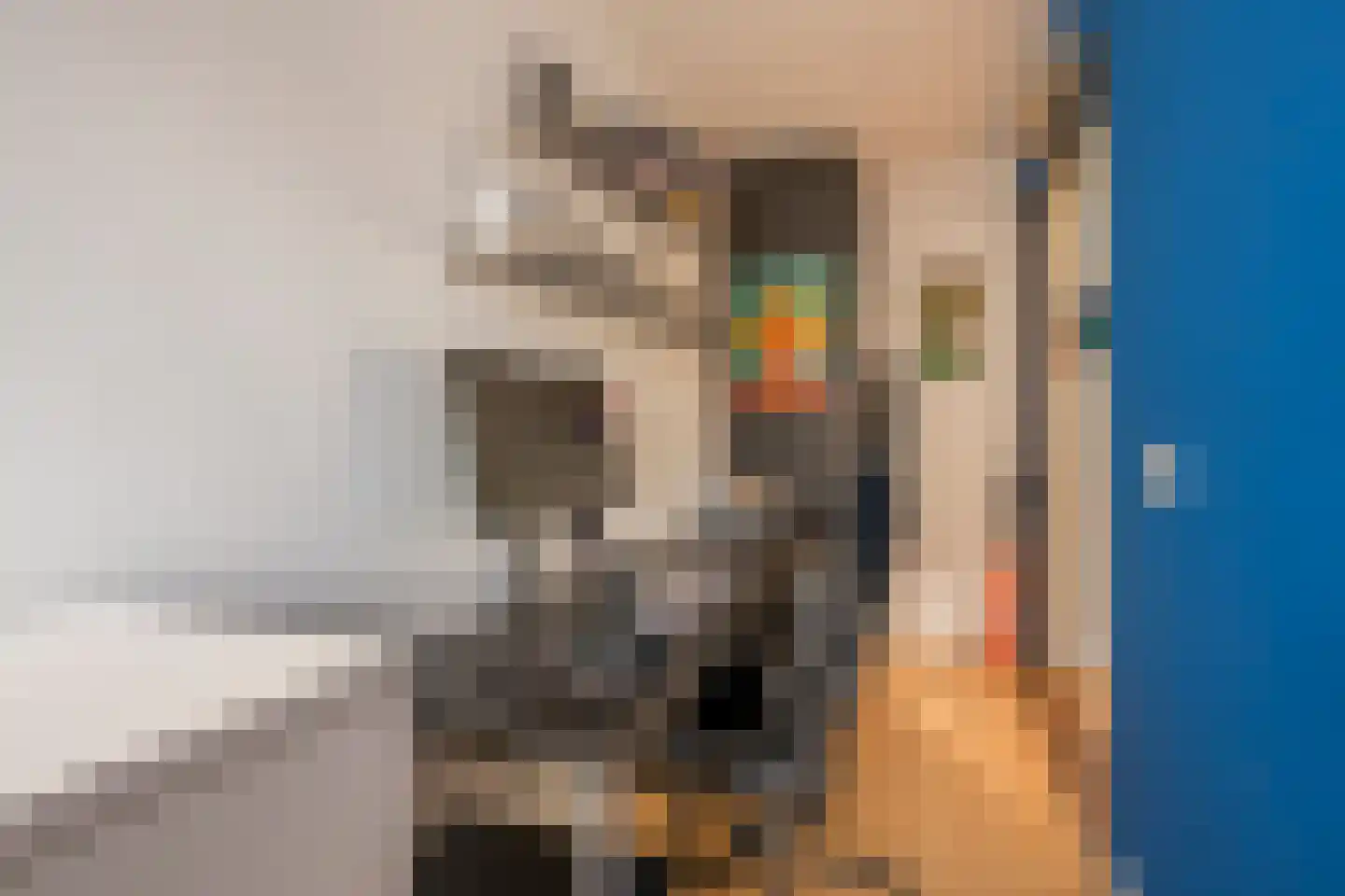 Boterbloem 25 Nijkerk thumbnail 31