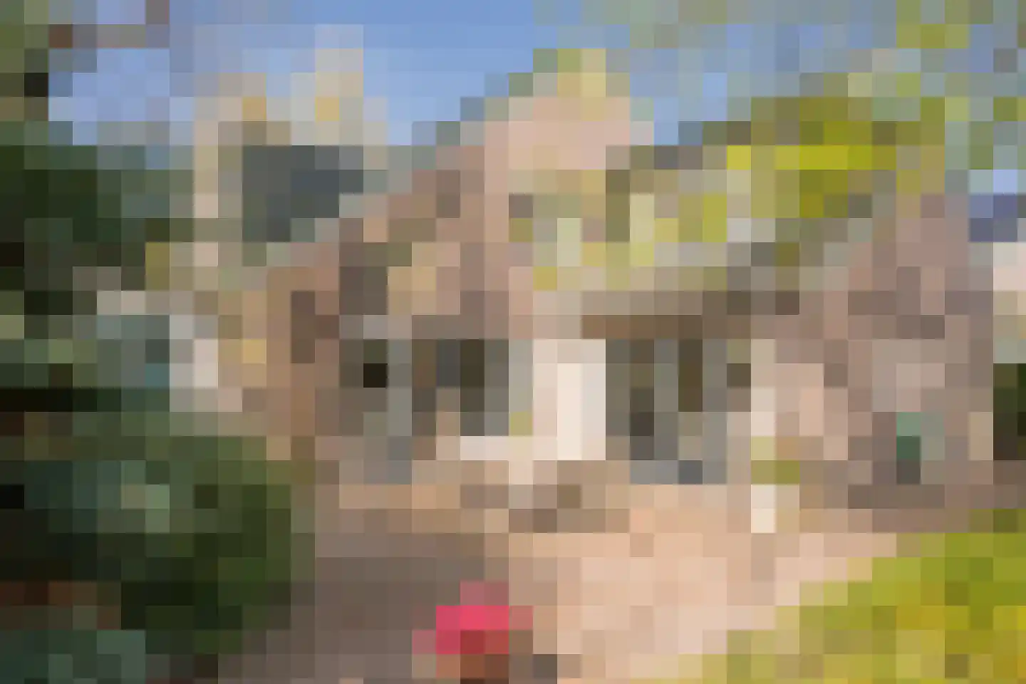 Boterbloem 25 Nijkerk thumbnail 38