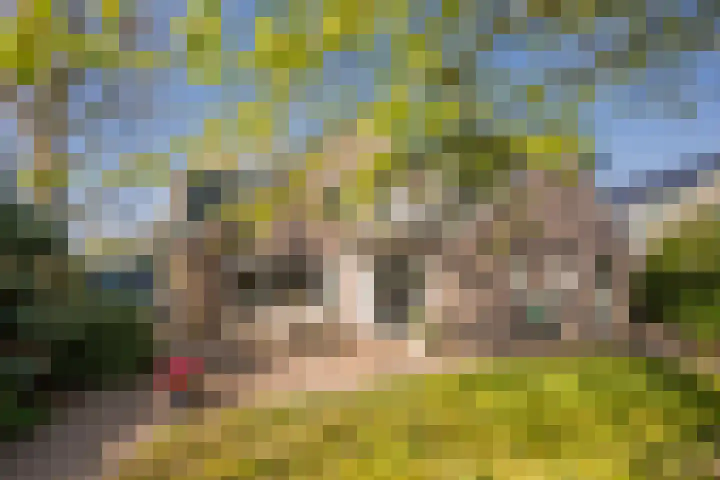 Boterbloem 25 Nijkerk thumbnail 39