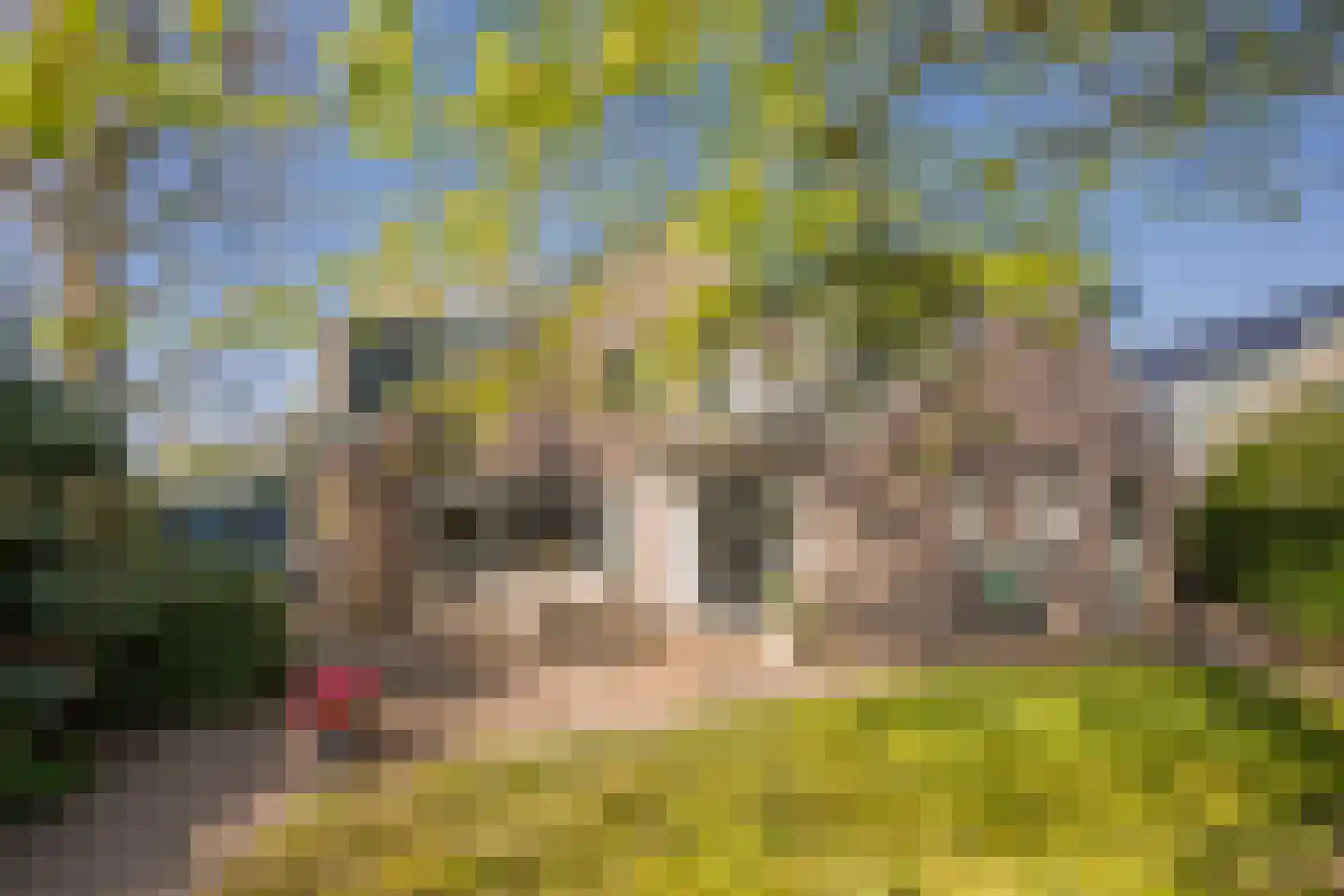 Boterbloem 25 Nijkerk thumbnail 40