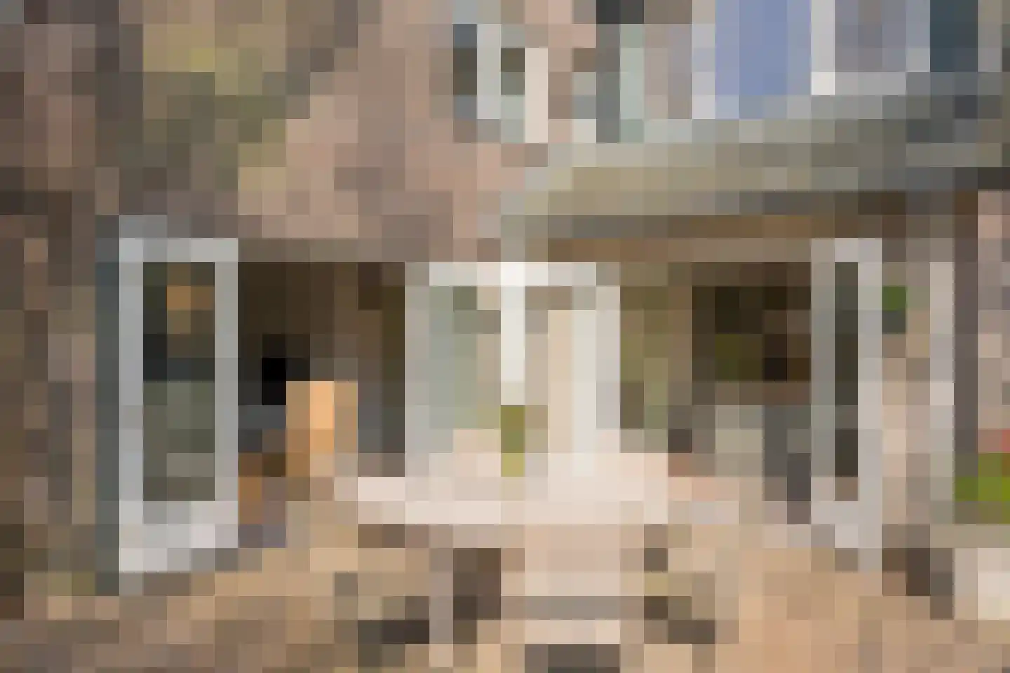 Boterbloem 25 Nijkerk thumbnail 41