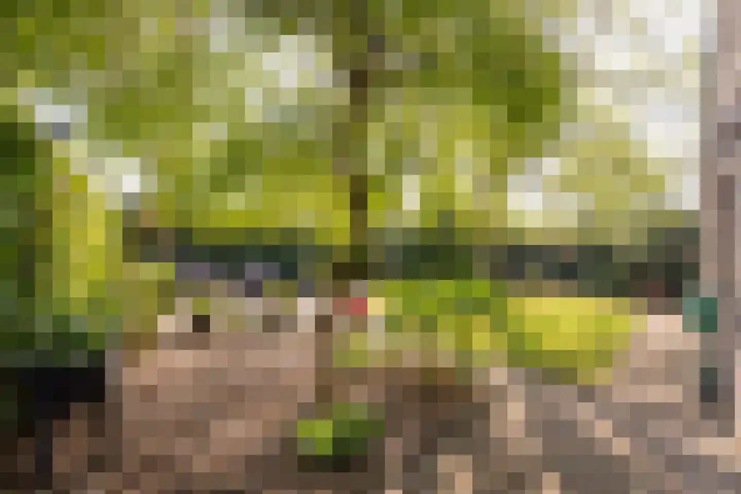 Boterbloem 25 Nijkerk thumbnail 42