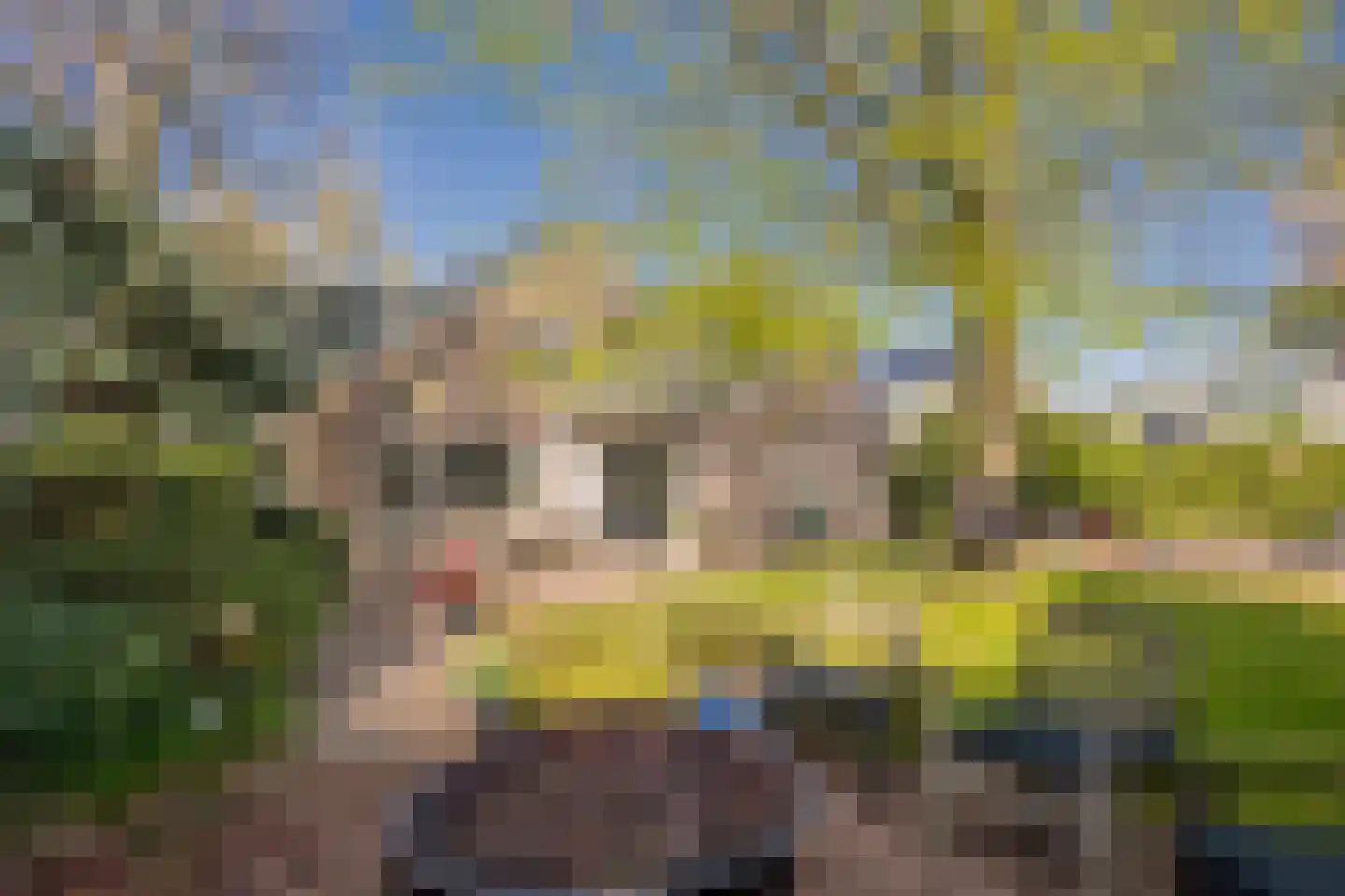 Boterbloem 25 Nijkerk thumbnail 42