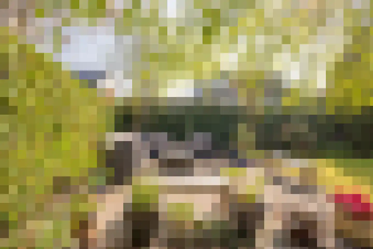 Boterbloem 25 Nijkerk thumbnail 43