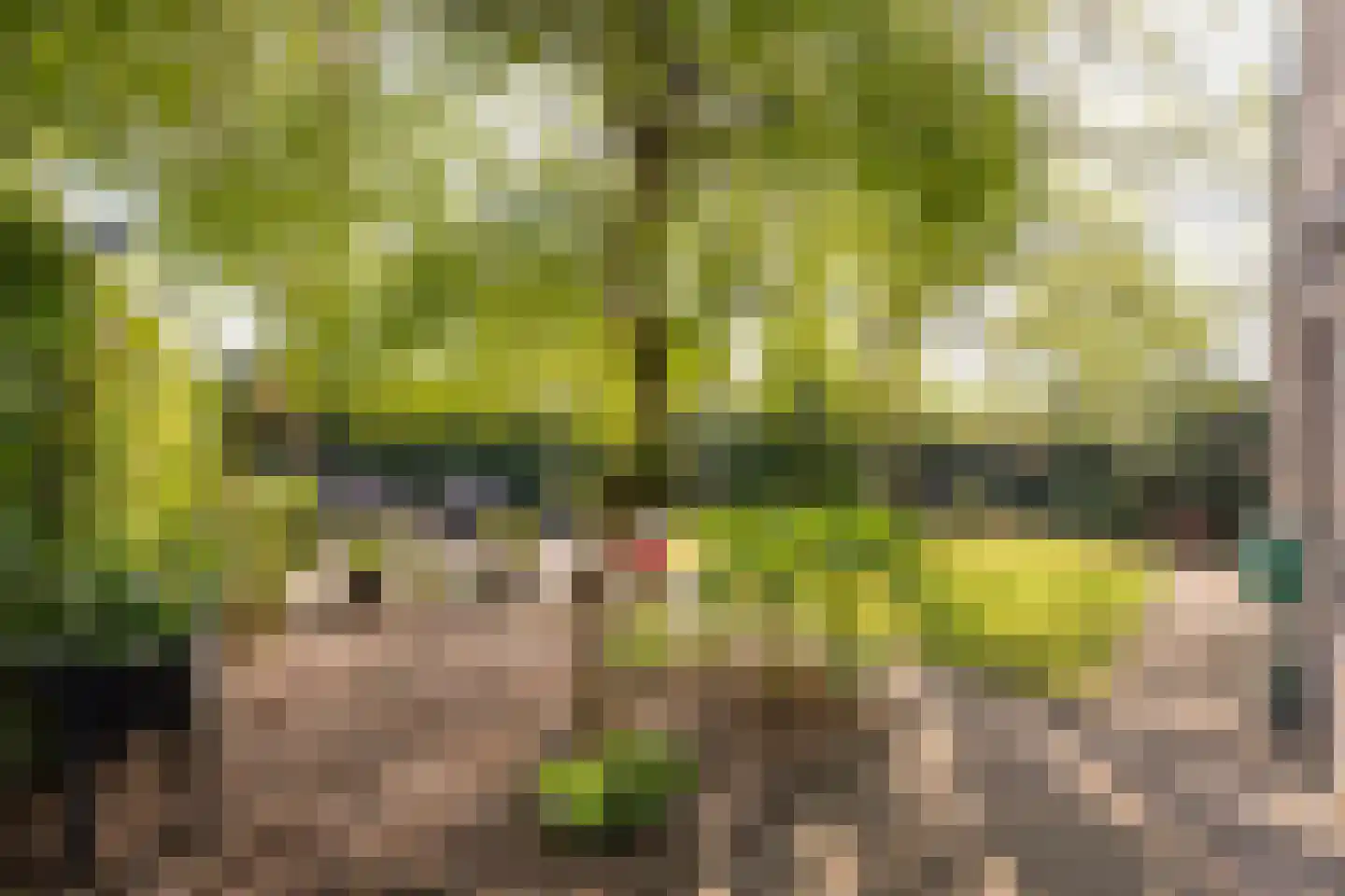 Boterbloem 25 Nijkerk thumbnail 43