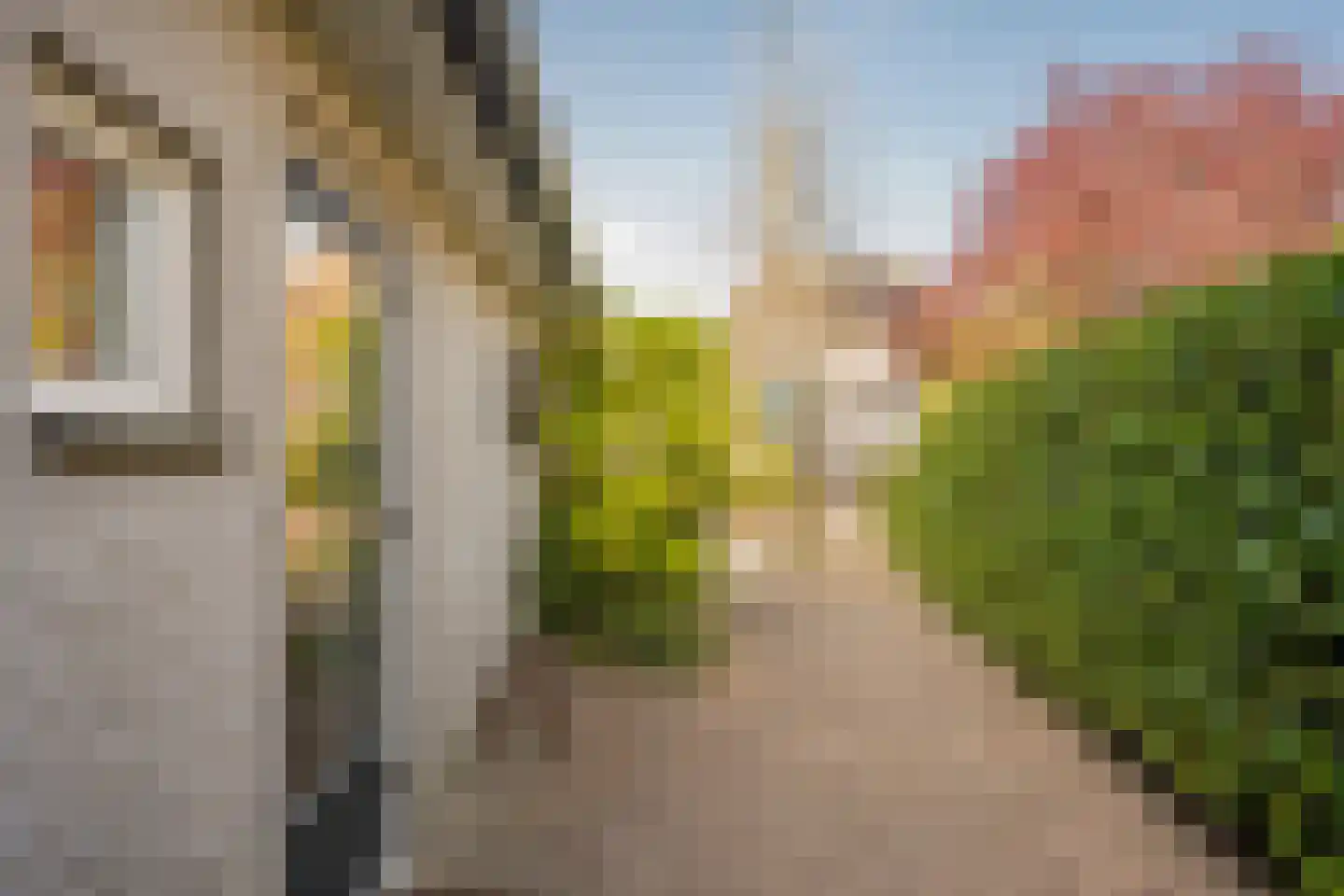 Boterbloem 25 Nijkerk thumbnail 44