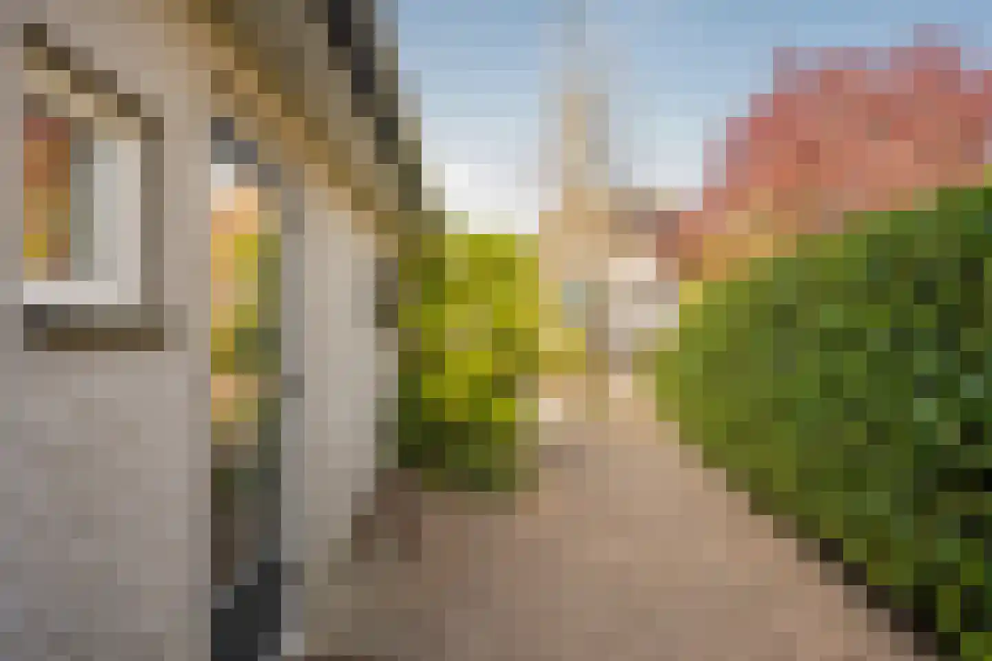 Boterbloem 25 Nijkerk thumbnail 45