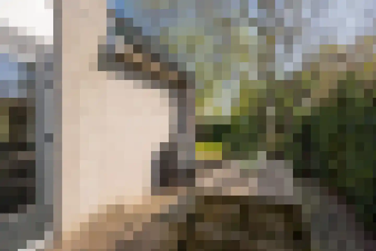 Boterbloem 25 Nijkerk thumbnail 45