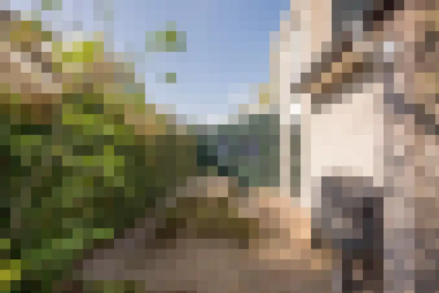 Boterbloem 25 Nijkerk thumbnail 46