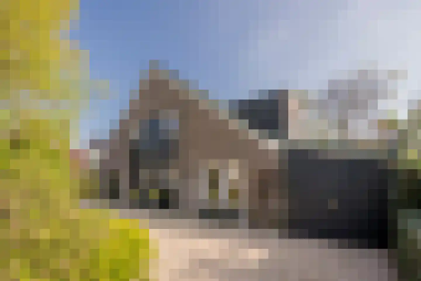 Boterbloem 25 Nijkerk thumbnail 47