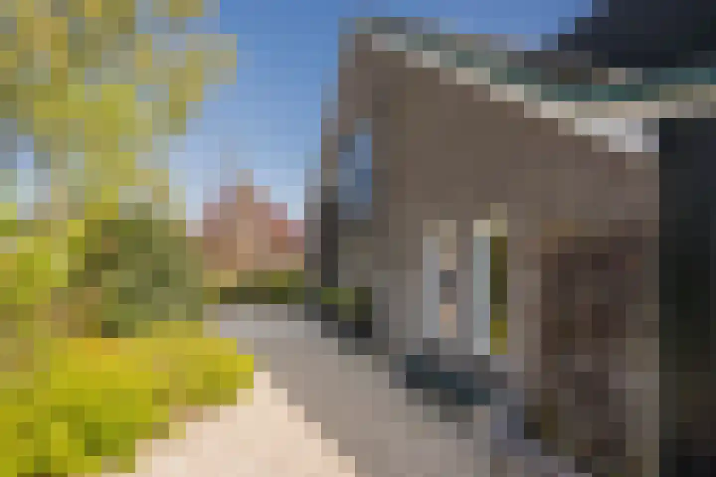 Boterbloem 25 Nijkerk thumbnail 49