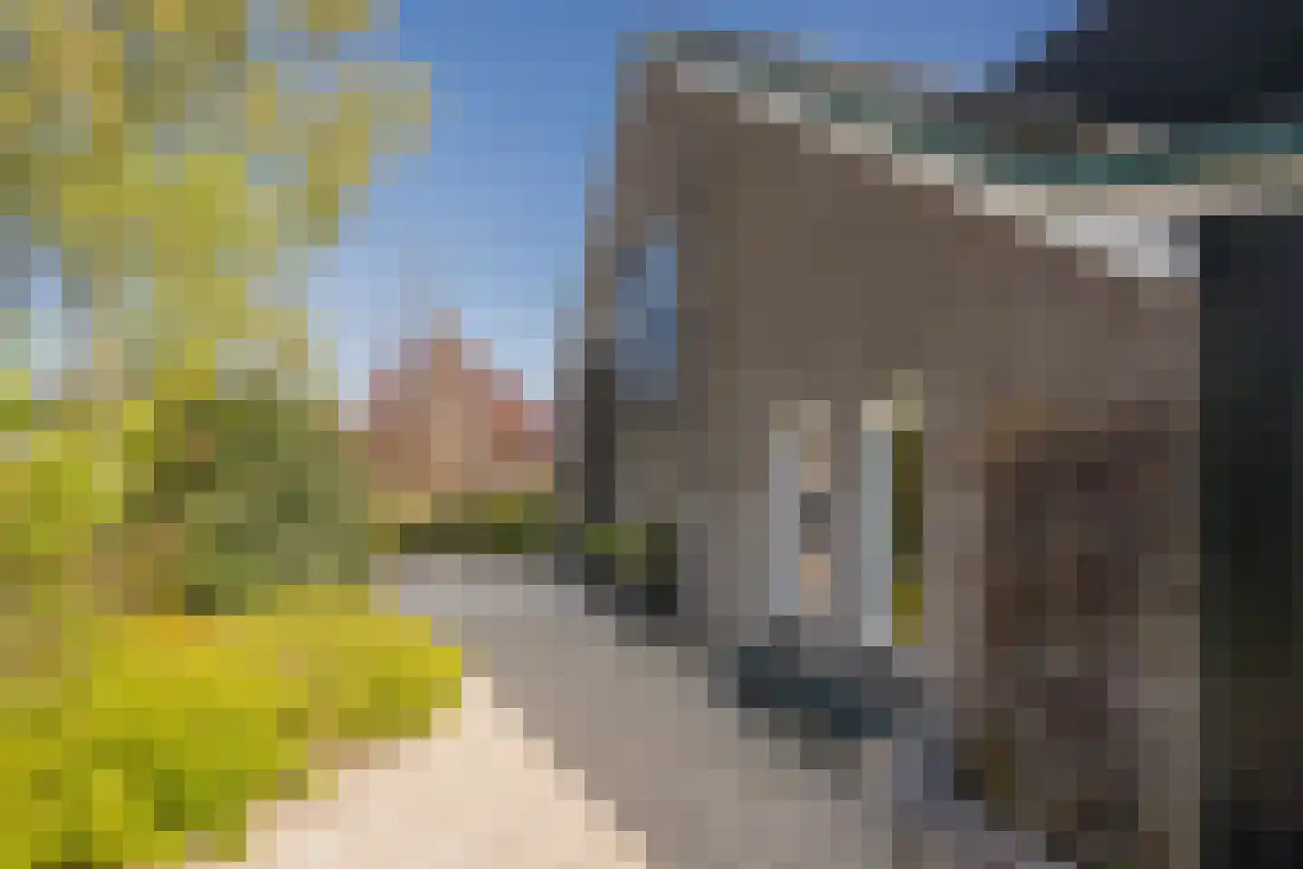 Boterbloem 25 Nijkerk thumbnail 50