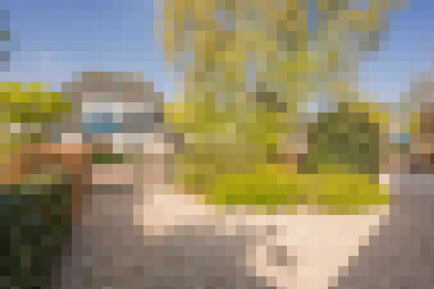 Boterbloem 25 Nijkerk thumbnail 50
