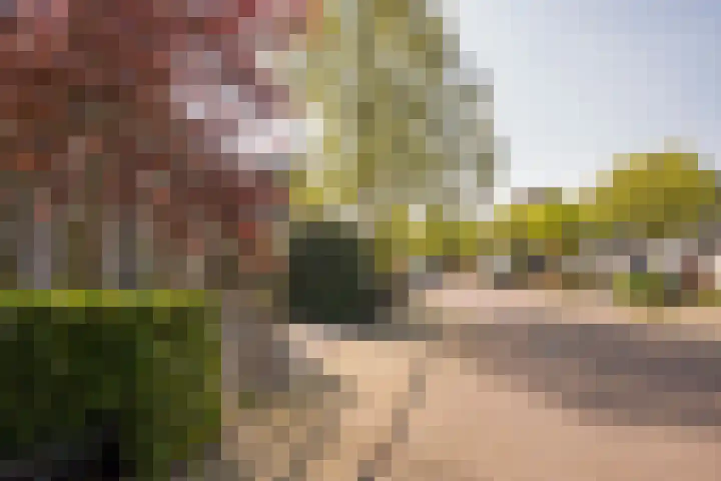 Boterbloem 25 Nijkerk thumbnail 52