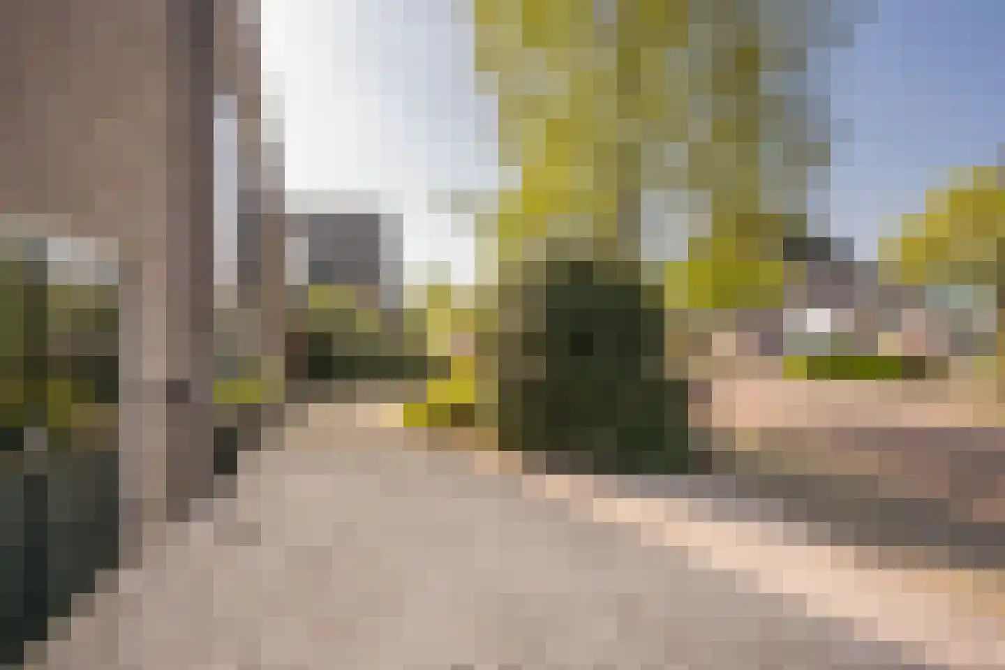 Boterbloem 25 Nijkerk thumbnail 53