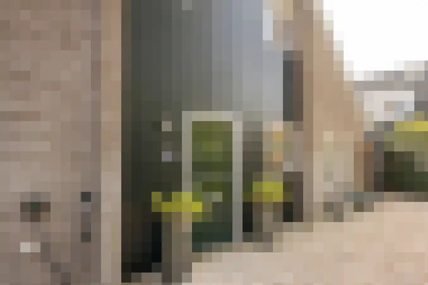 Boterbloem 25 Nijkerk thumbnail 54