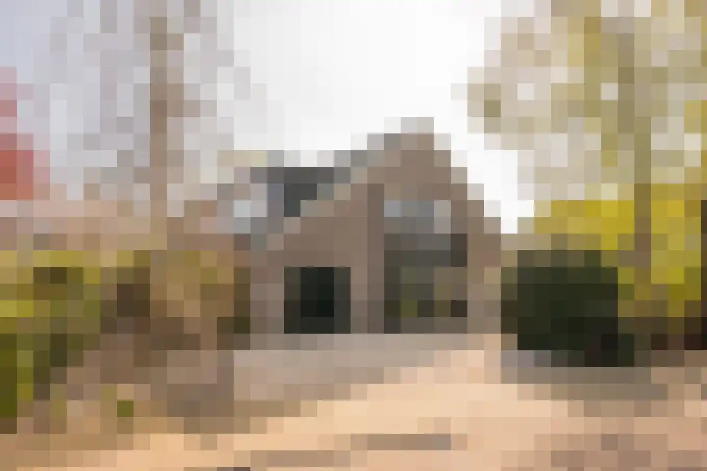 Boterbloem 25 Nijkerk thumbnail 55