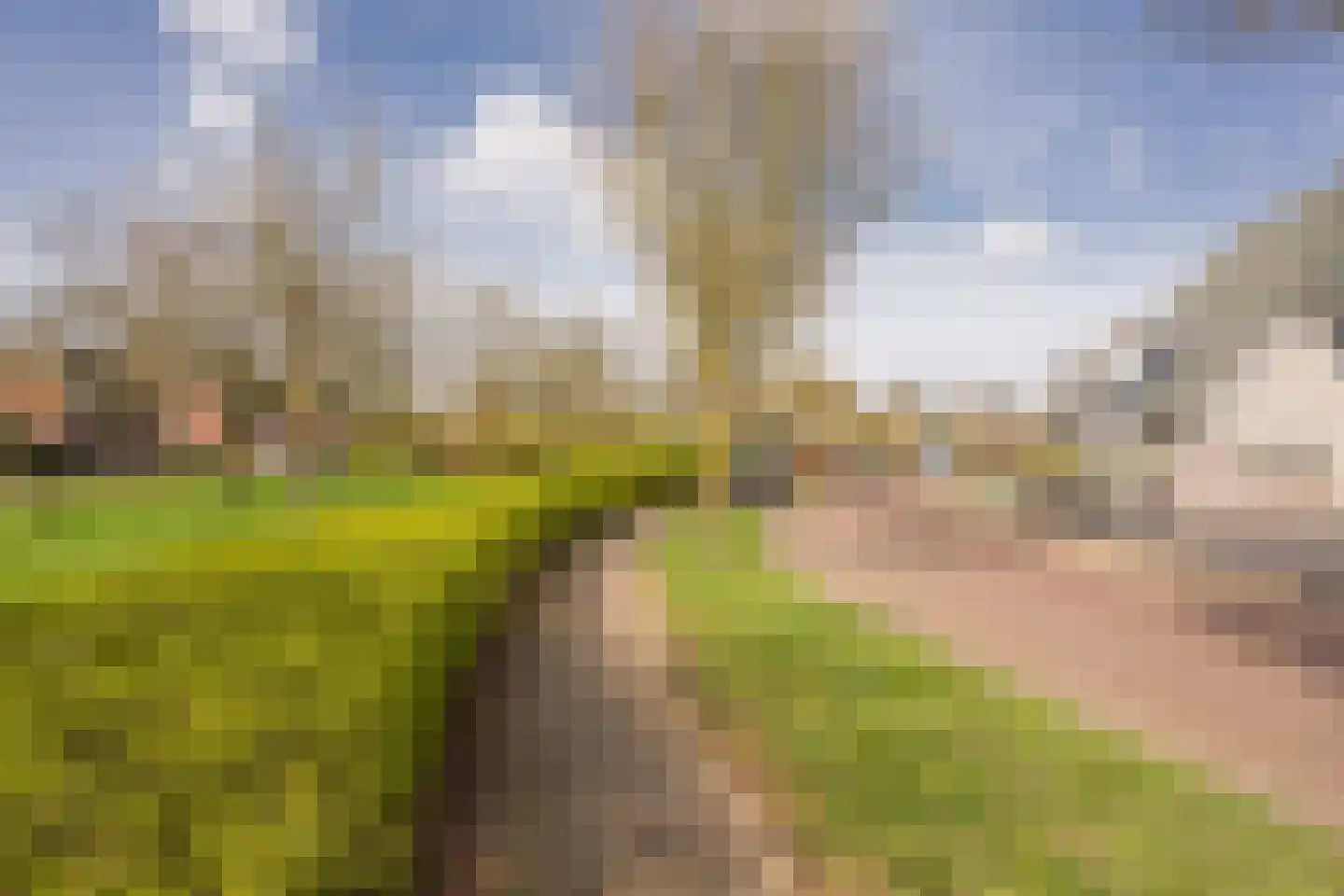 Boterbloem 25 Nijkerk thumbnail 56