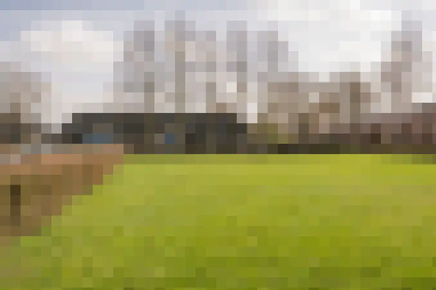 Boterbloem 25 Nijkerk thumbnail 57